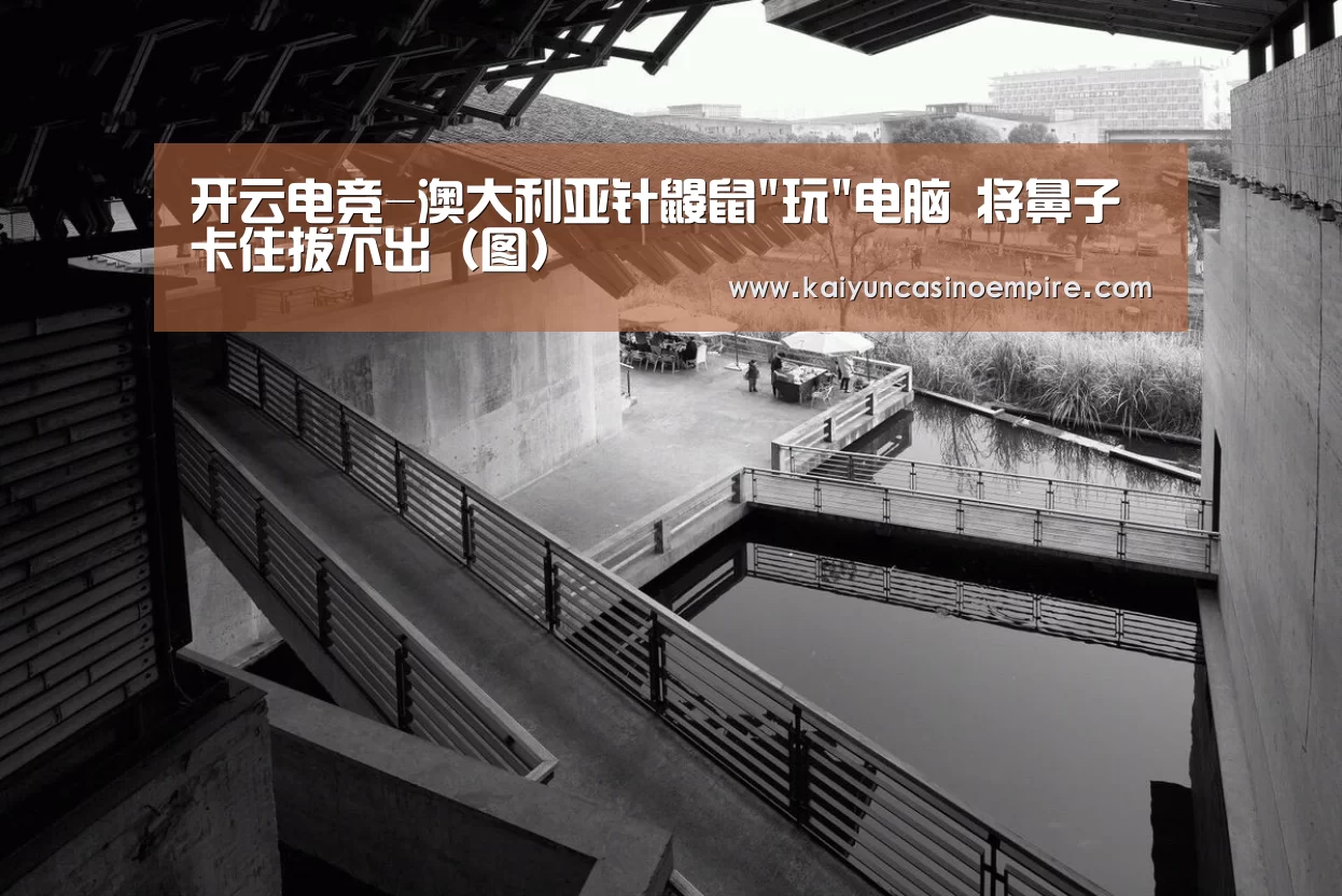 开云电竞-澳大利亚针鼹鼠玩电脑 将鼻子卡住拔不出(图)(图1) 开云电竞