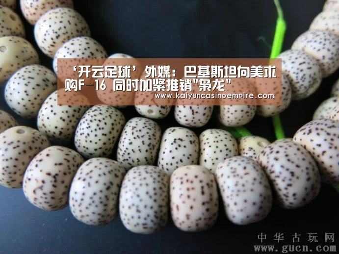 ‘开云足球’外媒:巴基斯坦向美求购F-16 同时加紧推销枭龙(图4) 开云电竞
