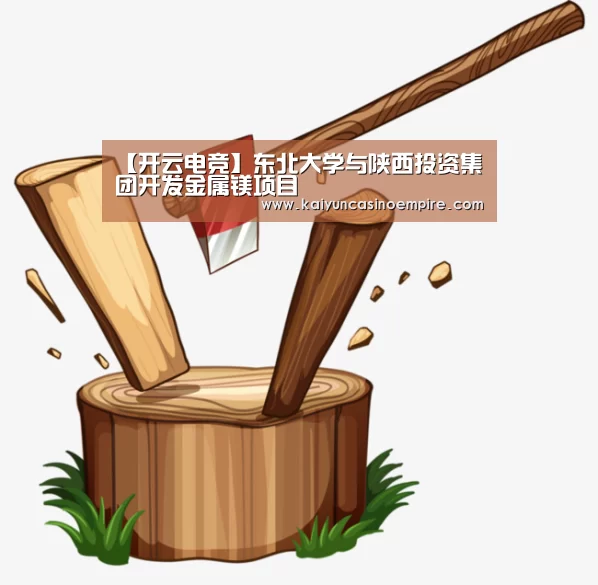 【开云电竞】东北大学与陕西投资集团开发金属镁项目(图1) 开云电竞