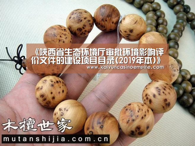 《陕西省生态环境厅审批环境影响评价文件的建设项目目录(2019年本)》出炉_政策法规_新闻_矿道网_开云电竞(图1) 开云足球
