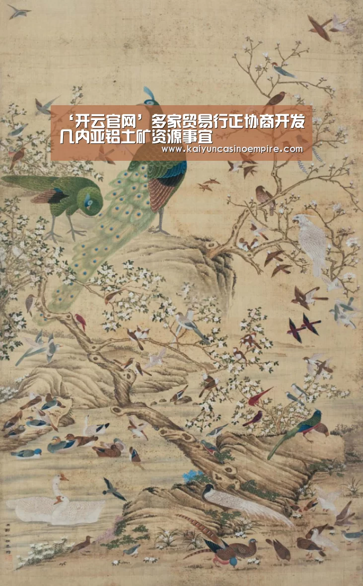 开云下载