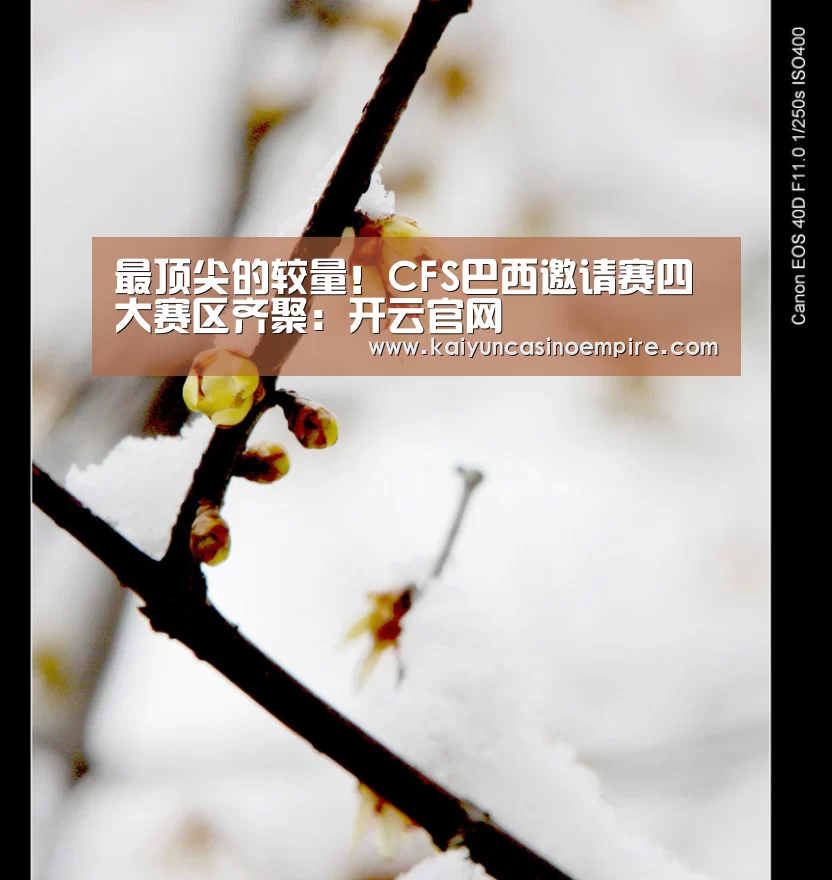 最顶尖的较量!CFS巴西邀请赛四大赛区齐聚:开云官网(图1) 开云电竞