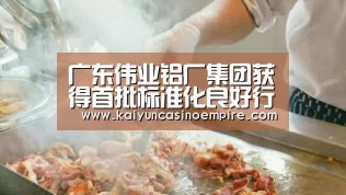 广东伟业铝厂集团获得首批标准化良好行为AAAAA企业|开云下载(图1) 开云足球