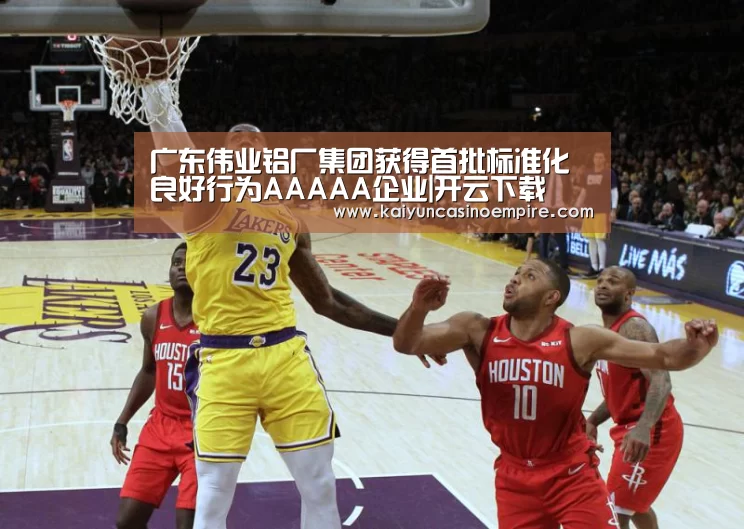 广东伟业铝厂集团获得首批标准化良好行为AAAAA企业|开云下载(图2) 开云官网