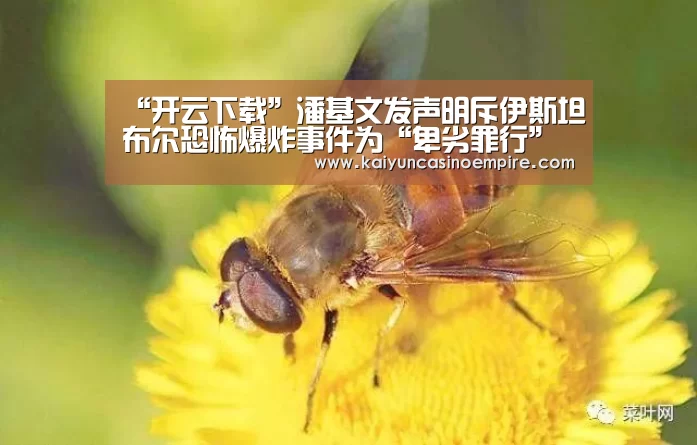“开云下载”潘基文发声明斥伊斯坦布尔恐怖爆炸事件为“卑劣罪行”(图3) 开云电竞