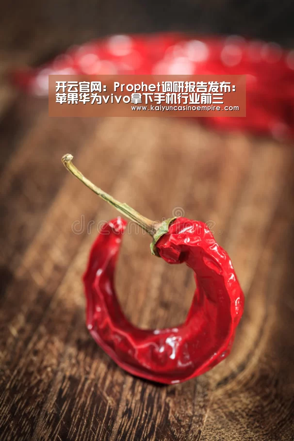 开云下载